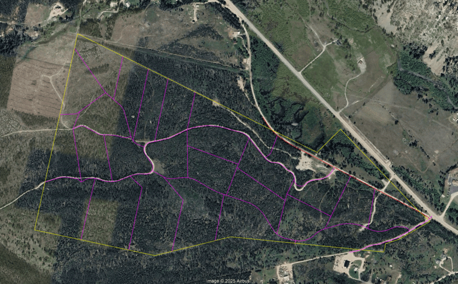 Aerial view of forest with plotted roads.